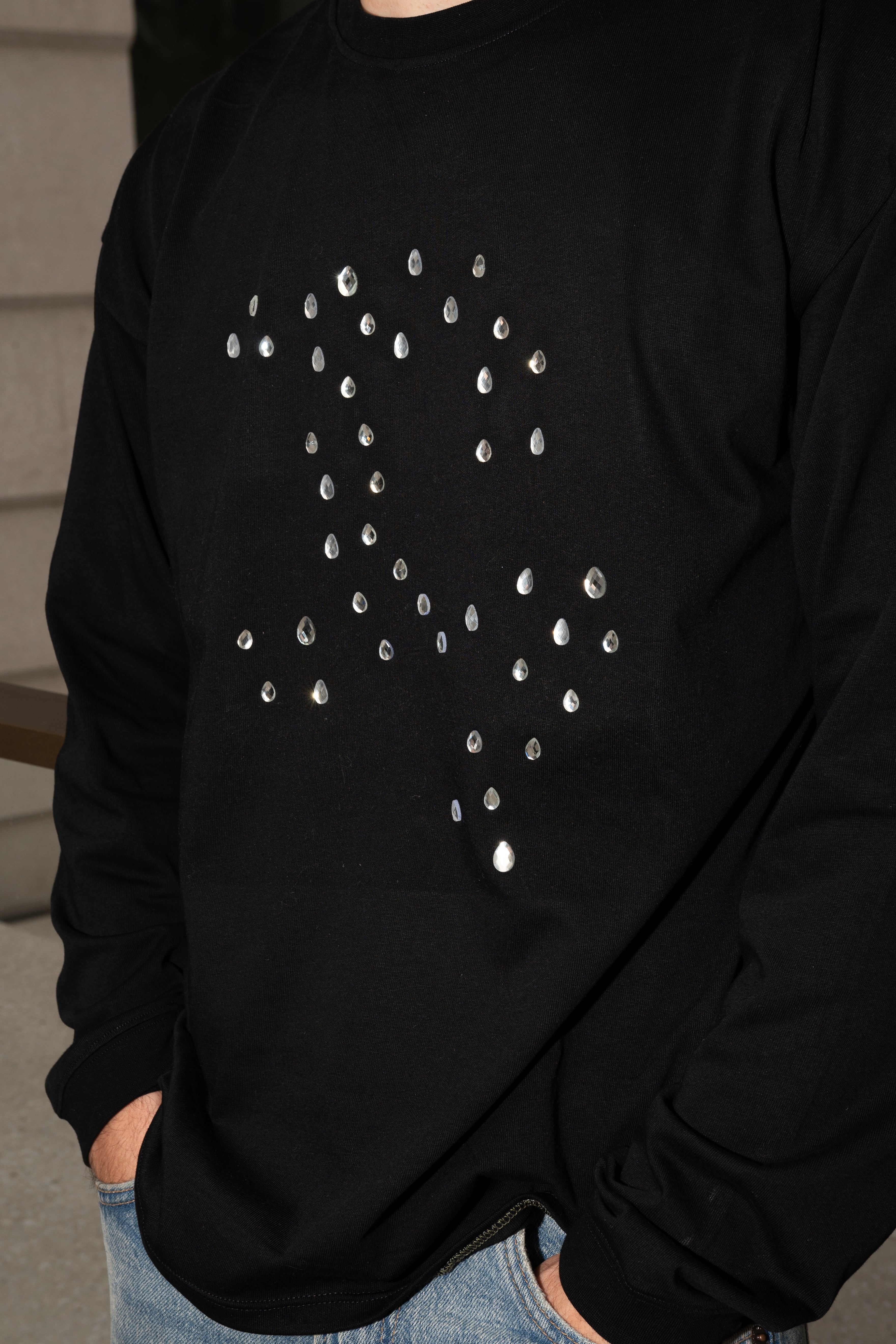 "SHINY LOGO" Longsleeve black